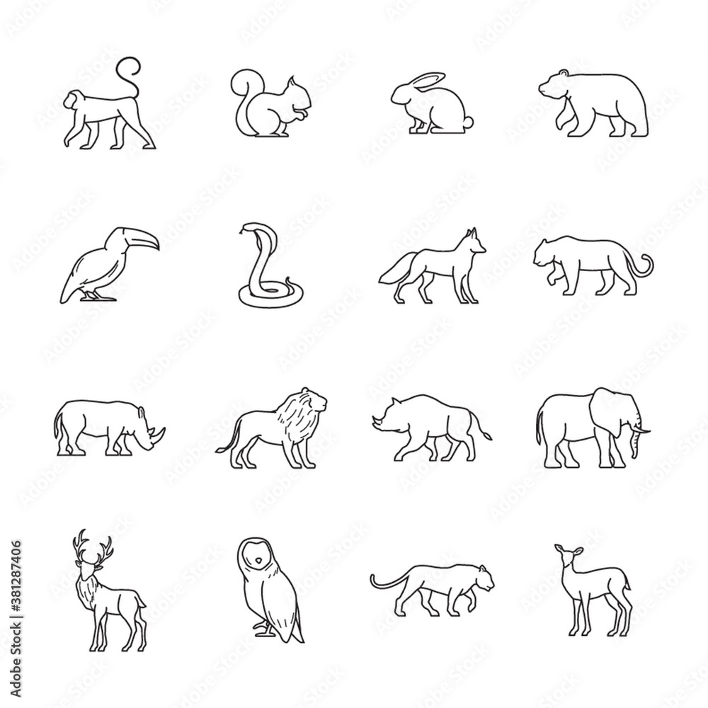 set of wild animals set of wild animals