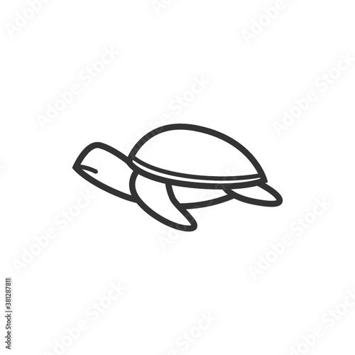 turtle
