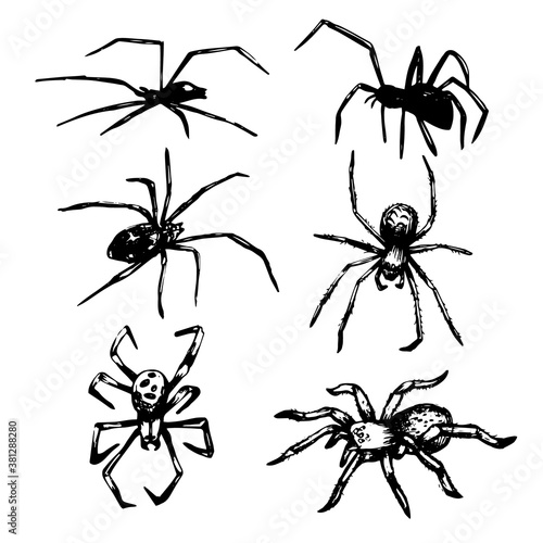 Hand drawn spiders. Halloween decoration set. 