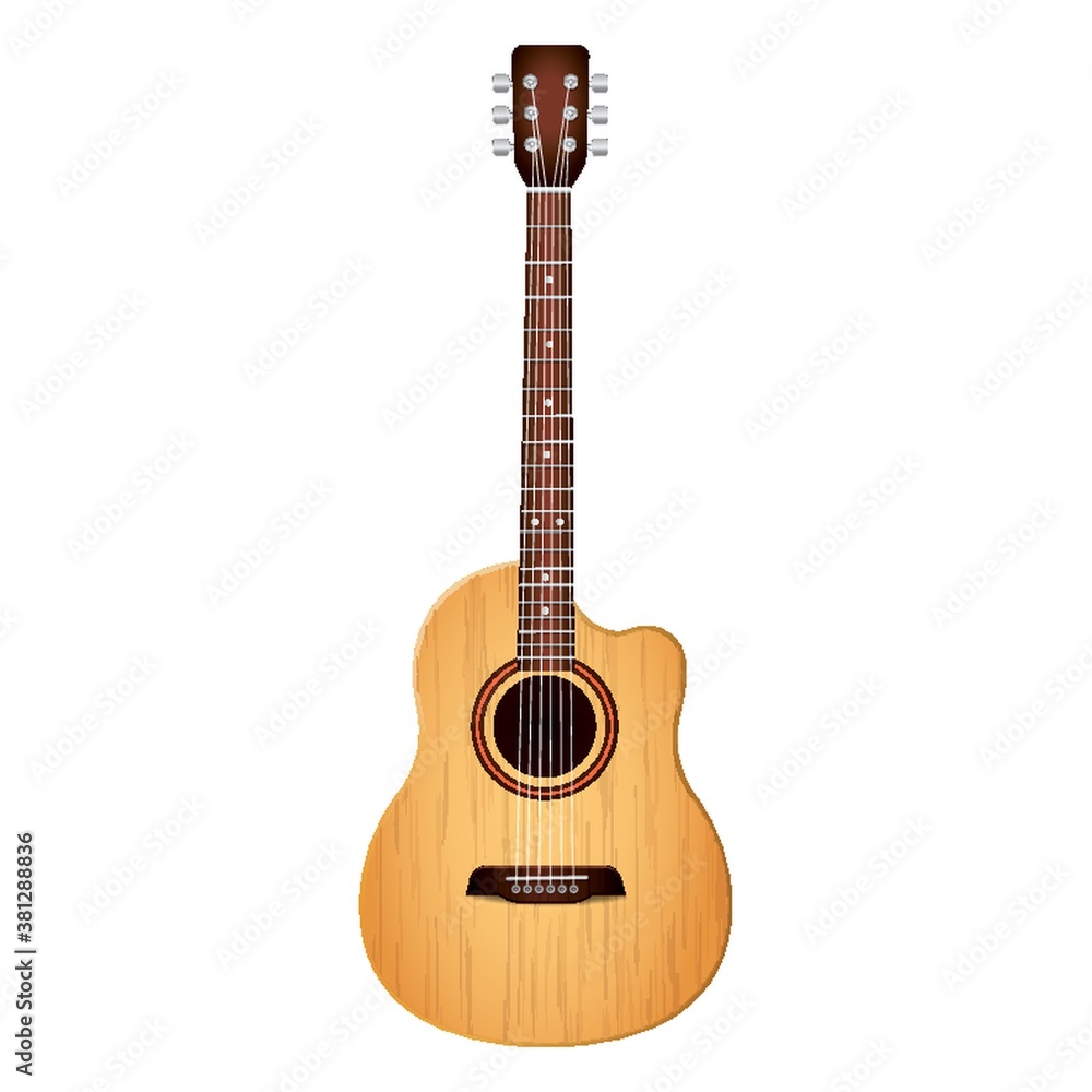 acoustic guitar