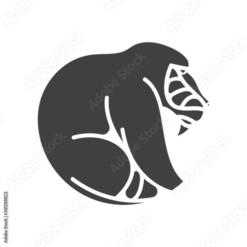 baboon
