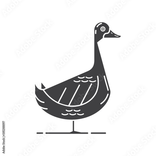 duck