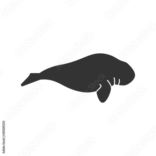 dugong