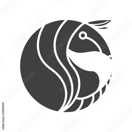 armadillo