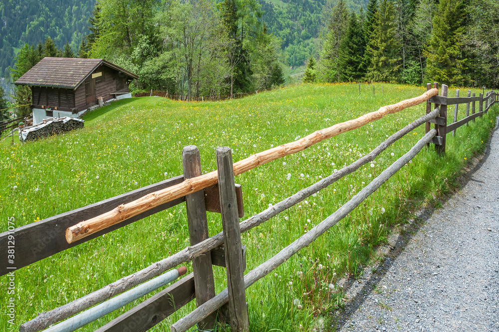Idyllic landscape of farm in Wengen, Swiss