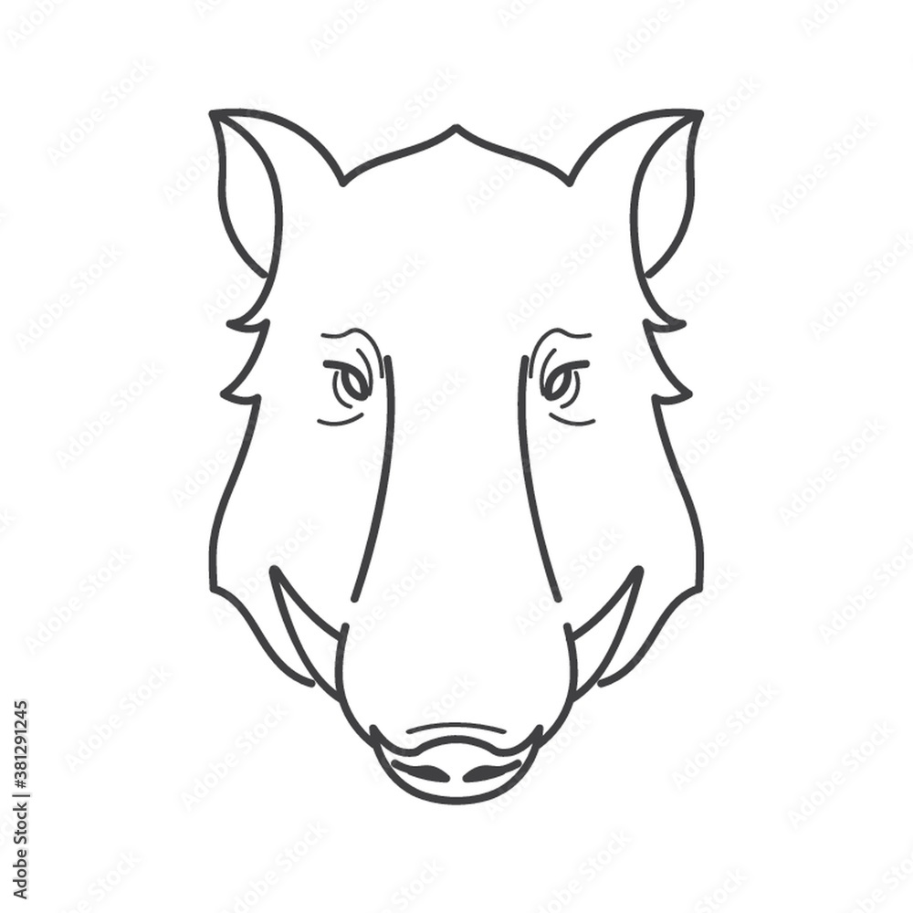 Fototapeta premium wild boar