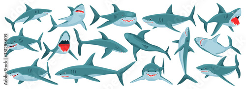Sea shark vector cartoon set icon. Vector illustration sea fish of shark on white background .Isolated cartoon icon ocean animal.