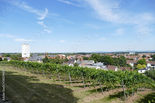 Blick auf die Häuser von Osthofen / Rheinhessen mit Weinbergen