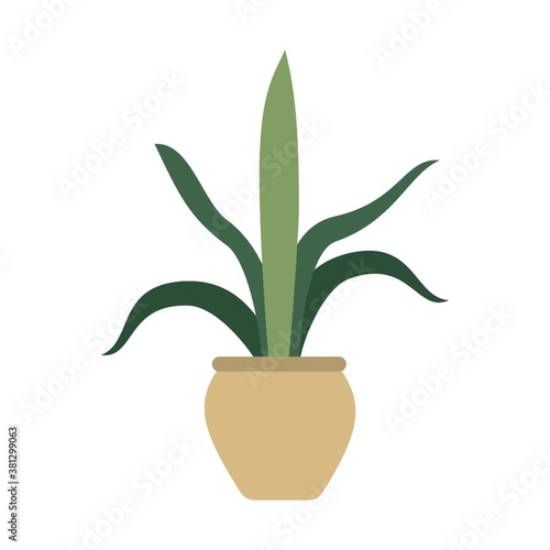 Plant