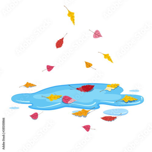 Autumn puddle with falling colorful leaves. Vector illustration isolated © hadeev