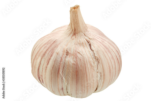 Garlic vegetable isolated