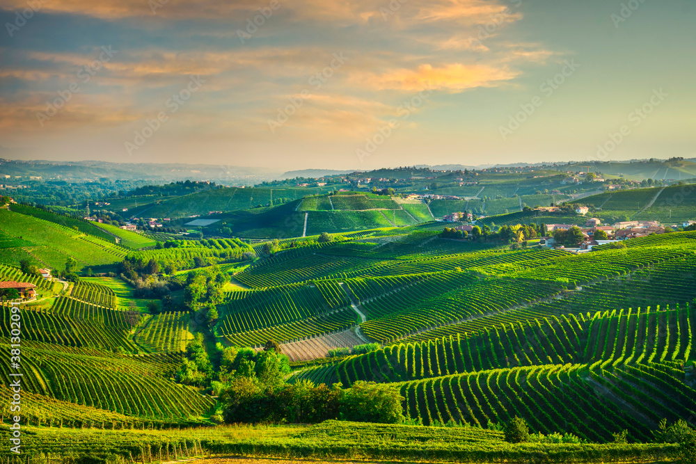 Langhe vineyards landscape, Barbaresco. Piedmont, Italy Europe.