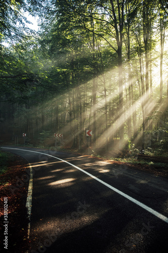 Late summer sunlight rays b...