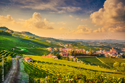 Langhe vineyards view, Barolo and La Morra, Piedmont, Italy Europe.