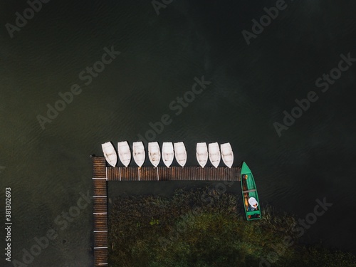 Aerial view of forest and g...