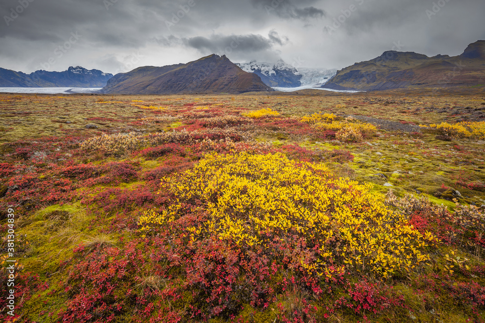 Landscape in the south of Iceland in autumn colours in overcast weather
