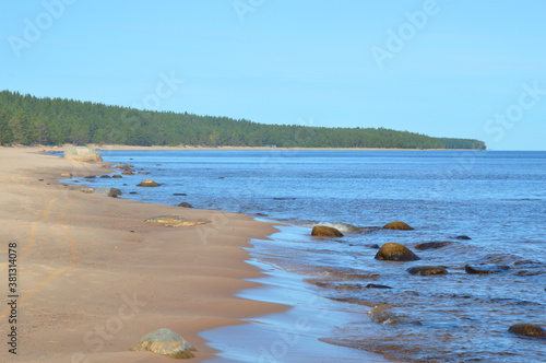 Coast of Ladoga lake at sunny day, Karelian isthmus, Russia.