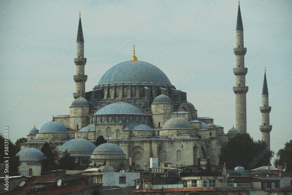 Fototapeta premium Blue Mosque , Istanbul 