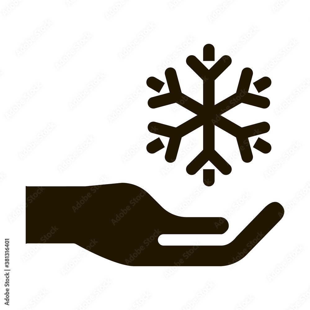 Fancy Snowflake Sign glyph icon vector. Fancy Snowflake Sign Sign. isolated symbol illustration Fancy Snowflake Sign glyph icon vector. Fancy Snowflake Sign Sign. isolated symbol illustration