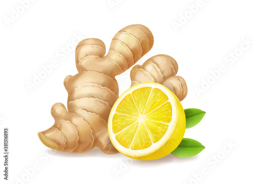 Lemon and ginger root isolated realistic illustration. Tea or lemonade ingredients