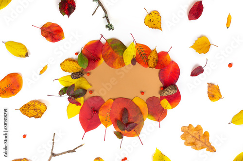 Autumn composition. Paper blank, dried flowers and leaves on white background. Autumn, fall concept. Flat lay, top view, copy space, square