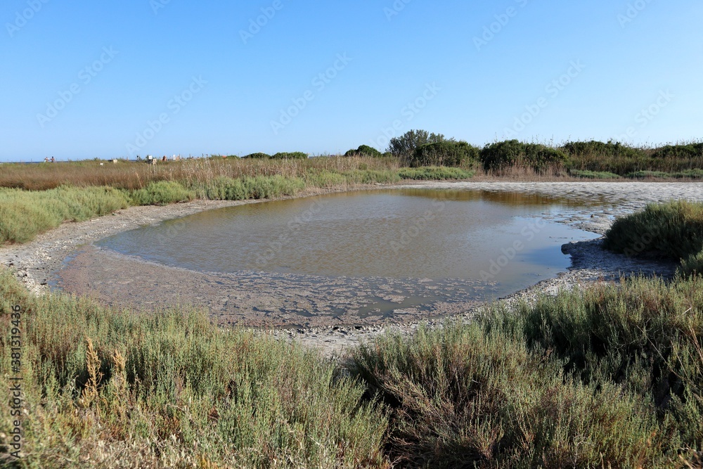 Vendicari – Acqua stagnante di Pantano Grande