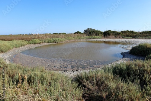 Vendicari – Acqua stagnante di Pantano Grande