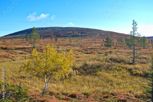Pallas - Yllastunturi national park, mountains, trails and fall in Finnish Lapland
