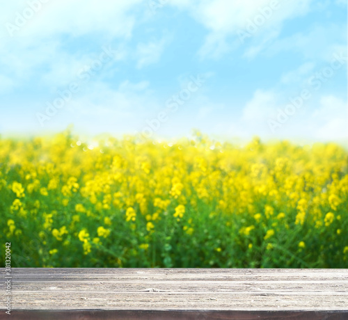 合成用背景　菜の花（アブラナ）と木目テーブル