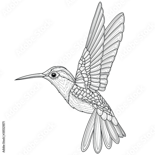 Hummingbirds .Coloring book antistress for children and adults. Illustration isolated on white background.Black and white drawing.Zen-tangle style.