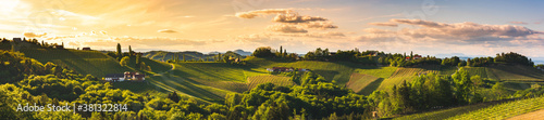 Vineyards panorama in South Styria, Summer season