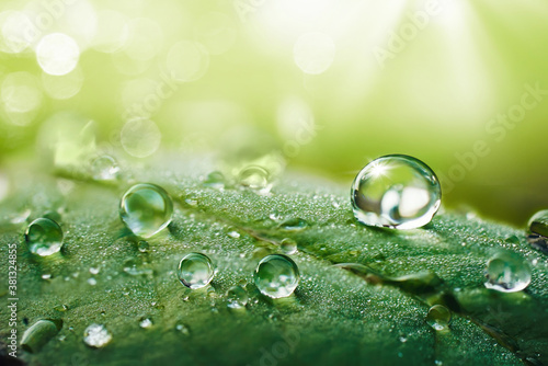 Foto Beautiful water drops after rain on green leaf in sunlight, macro