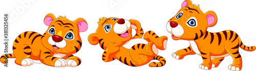 Illustration of cartoon baby tiger collection set