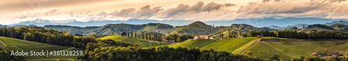 Vineyards panorama in South Styria, beginning of autumn.