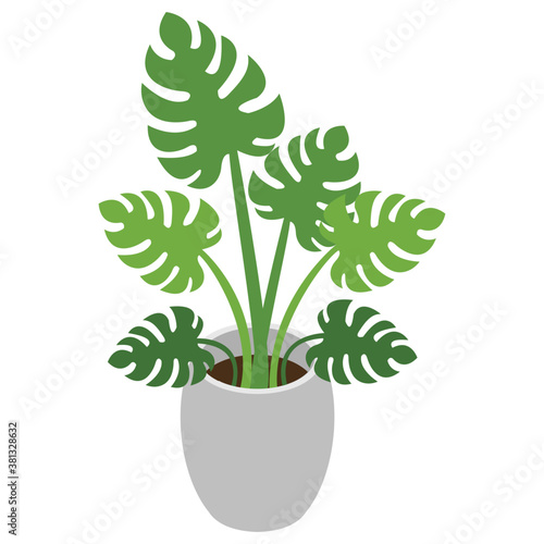 
Decorative plant isometric icon design
