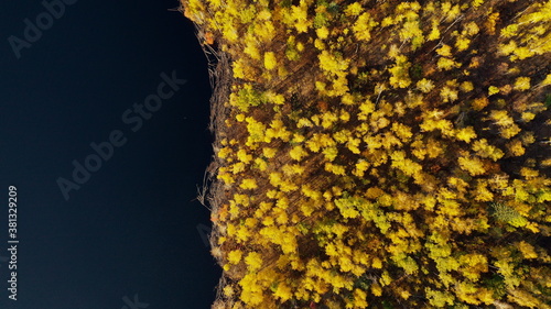 Golden autumn in Russia