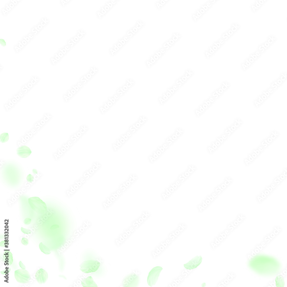 Green flower petals falling down. Fair romantic fl Green flower petals falling down. Fair romantic fl