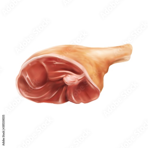 pork knuckle cut