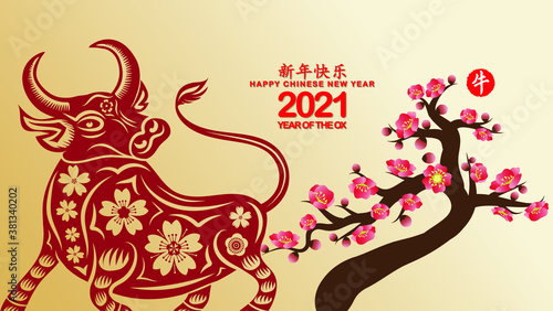 Chinese new year Ox 2021 background blooming sakura branches (Chinese translation Happy chinese new year 2021, year of ox)