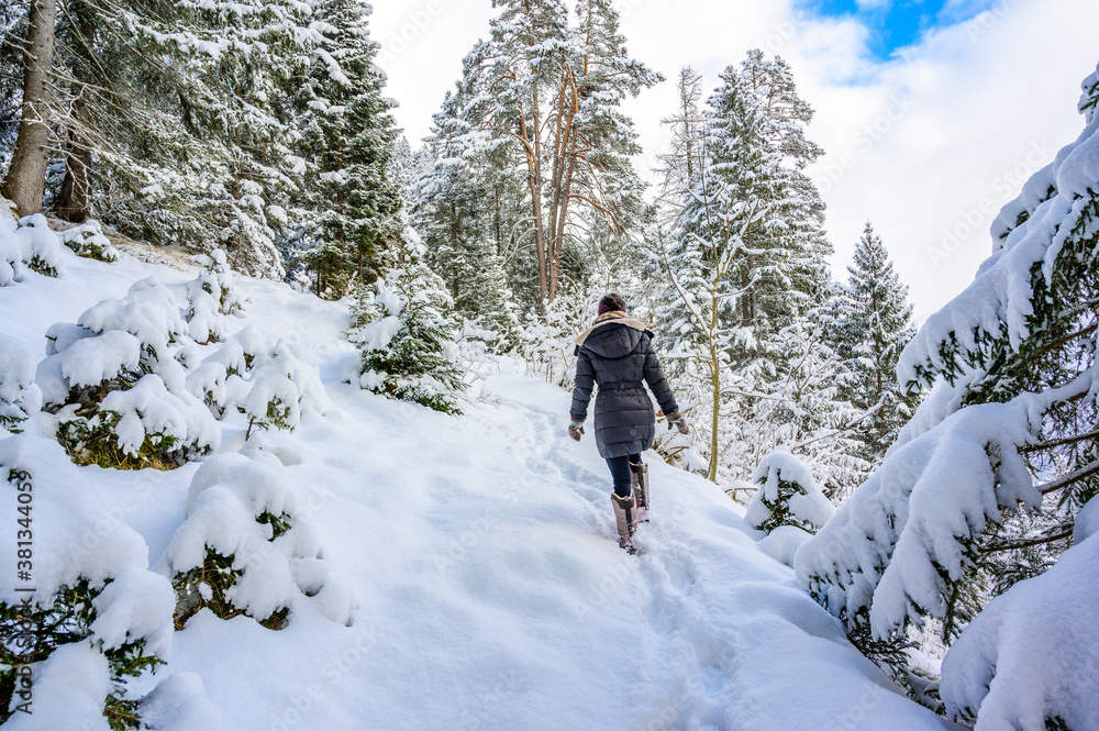 Winter landscape scenery with a trail in pine forest - winter travel destination for recreation, Tirol, Austria.