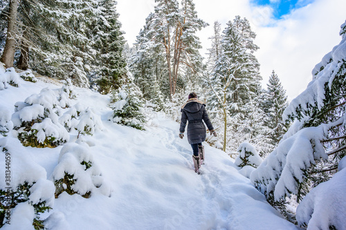Winter landscape scenery with a trail in pine forest - winter travel destination for recreation, Tirol, Austria.
