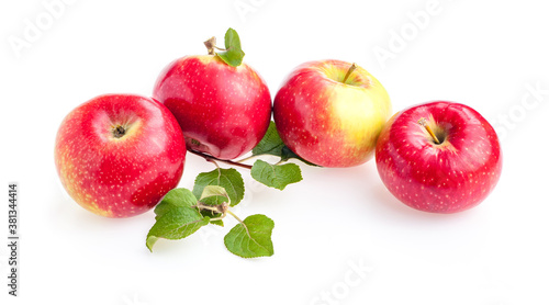 juicy apples isolate. Studio photography red apple closeup