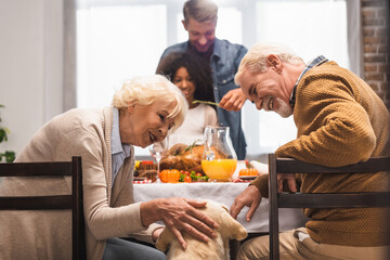 senior woman stroking golden retriever while celebrating thanksgiving day with multicultural family
