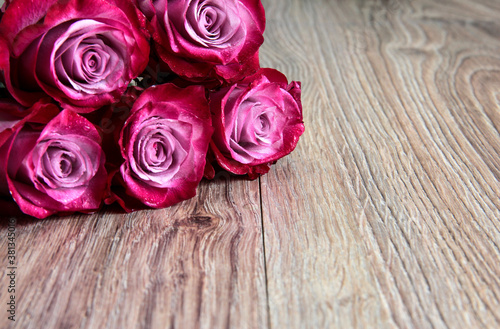 5 pink roses on a wooden background.