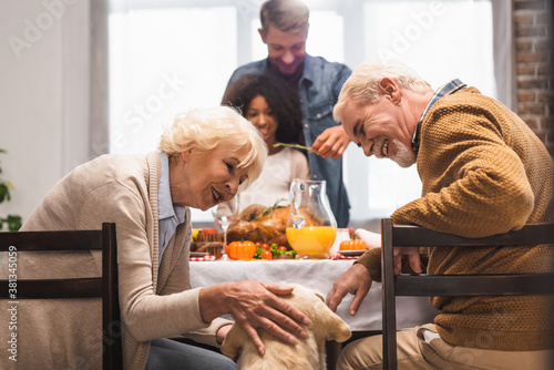 senior woman stroking golden retriever while celebrating thanksgiving day with multicultural family