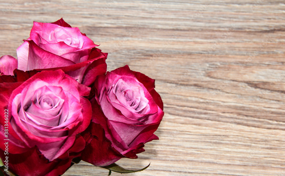 Purple rose on a wooden background. Flower on a light background. Purple rose on a wooden background. Flower on a light background.