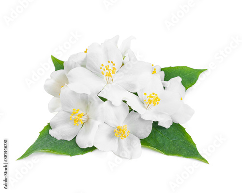 aroma composition with jasmine flowers and green leaves on white background