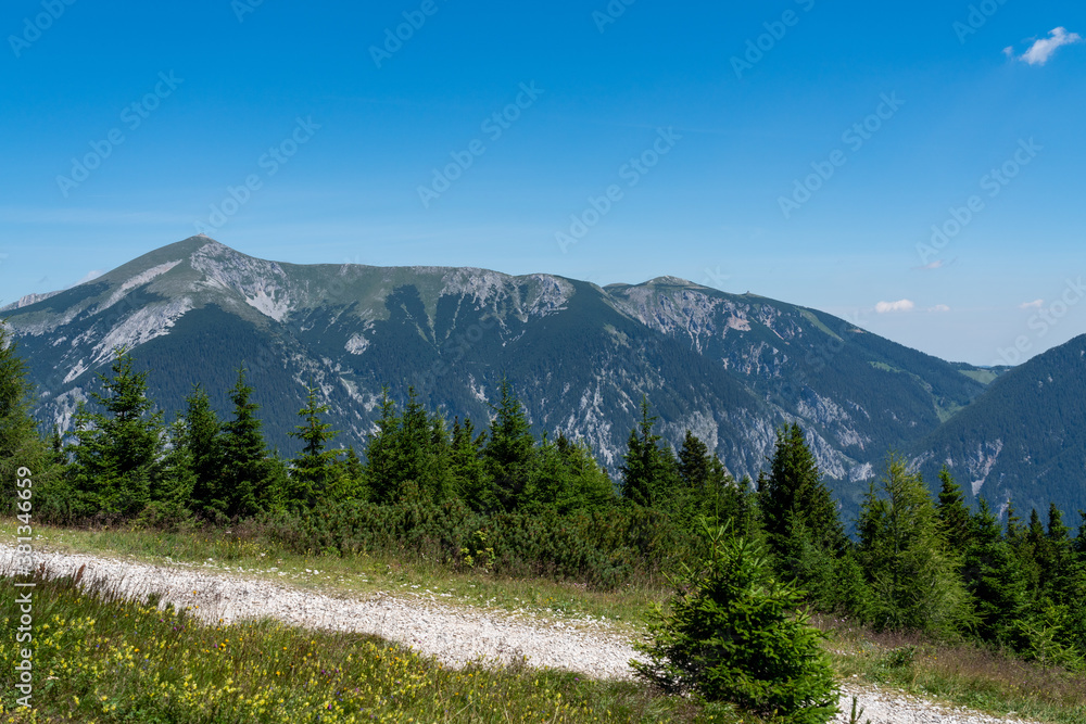 Blick von der Rax über einen Wanderweg und einen Nadelwald zum Schneeberg