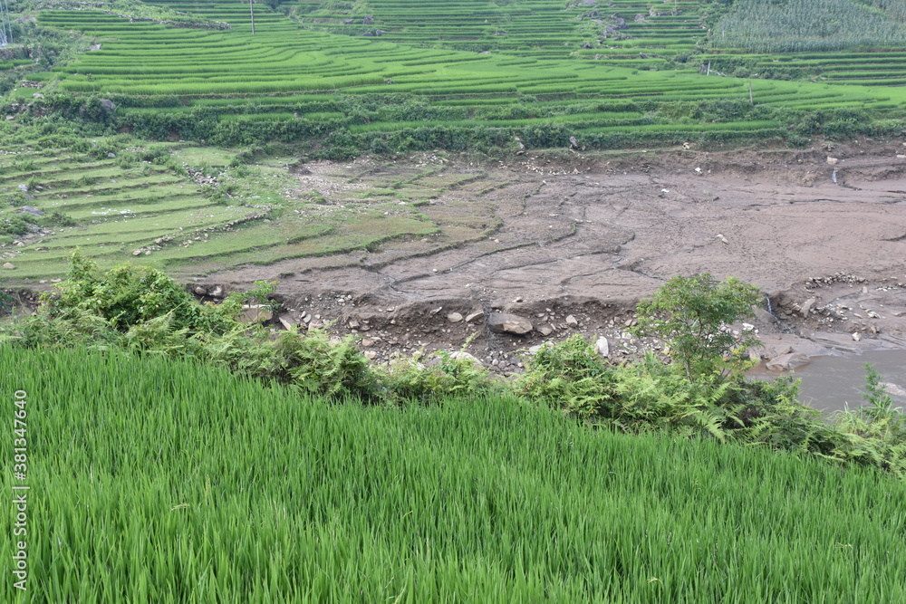 Rice Terraces Descending into Muddy River Bank, Sa Pa, Vietnam Rice Terraces Descending into Muddy River Bank, Sa Pa, Vietnam