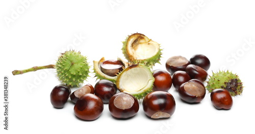 Bild auf Leinwand Wild chestnuts isolated on white background
